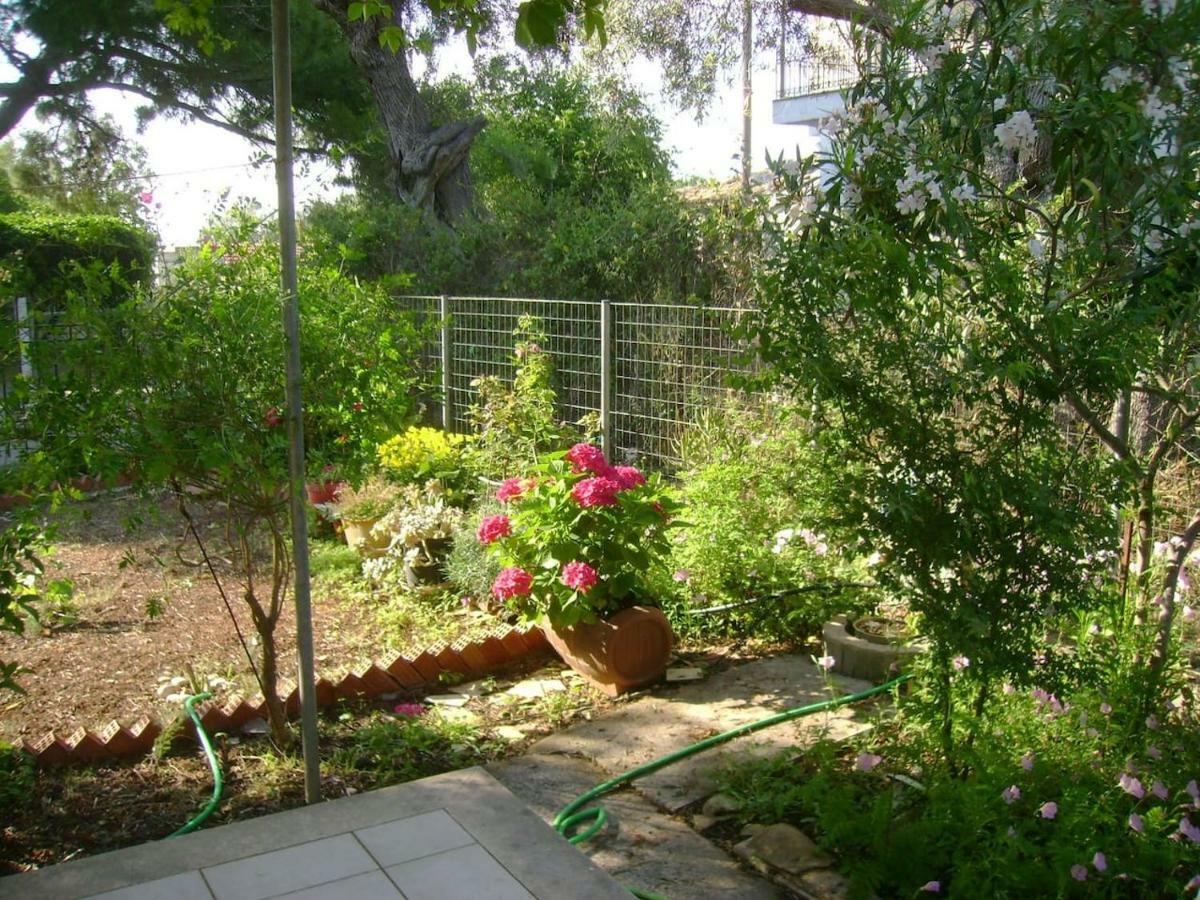 TsoukaládhesLefkas House With Garden别墅 外观 照片