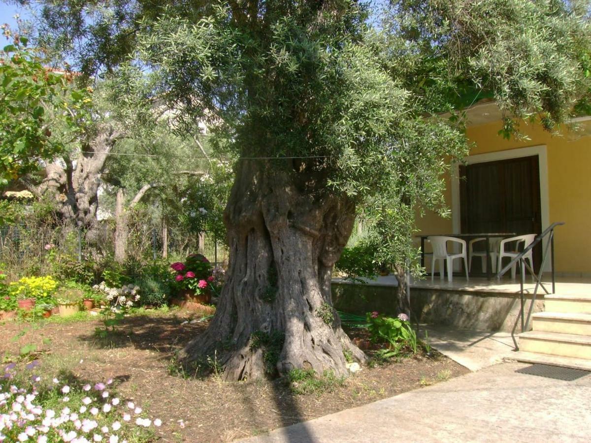 TsoukaládhesLefkas House With Garden别墅 外观 照片